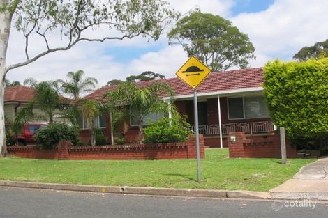 Property photo of 117 Ringrose Avenue Greystanes NSW 2145