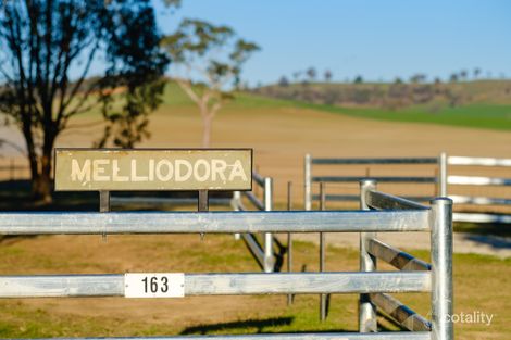 163 Plunkett Rd, Bowna, NSW 2644