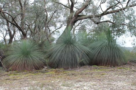 Property photo of 255 Kents Road Barwon Downs VIC 3243