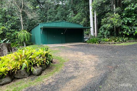 Property photo of 144 Figtree Close Malanda QLD 4885