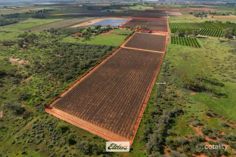 166 Keenans Dr, Coomealla, NSW 2717