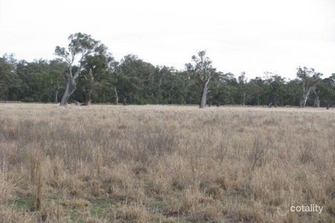 Property photo of 3173B Wambianna Road Warren NSW 2824