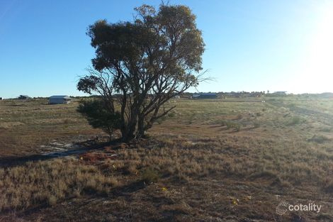 Property photo of 26 Stonestreet Way Wongan Hills WA 6603