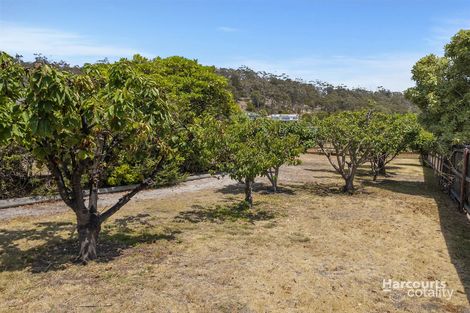 Property photo of 53 Morrison Street Bicheno TAS 7215