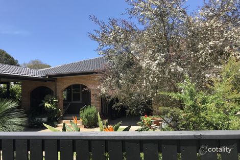 Property photo of 12 Brunswick Terrace Mullumbimby NSW 2482