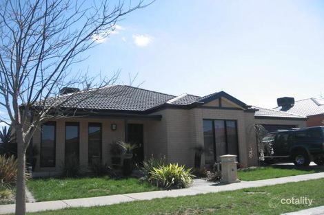 3 Beechville Pl, Craigieburn, VIC 3064