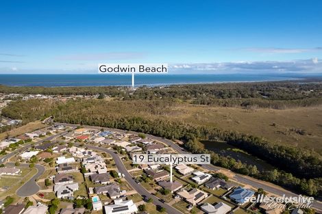 Property photo of 19 Eucalyptus Street Ningi QLD 4511