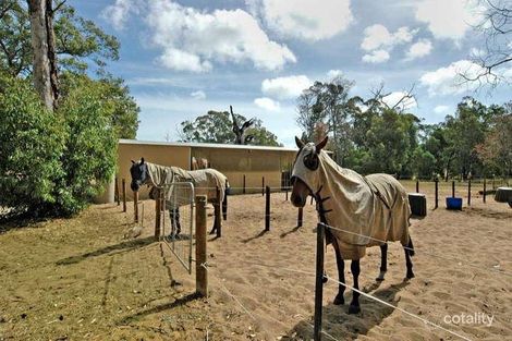 Property photo of 50 Jade Loop Carabooda WA 6033