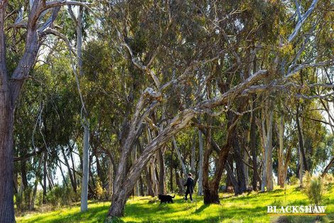 Property photo of 119/31 Thynne Street Bruce ACT 2617