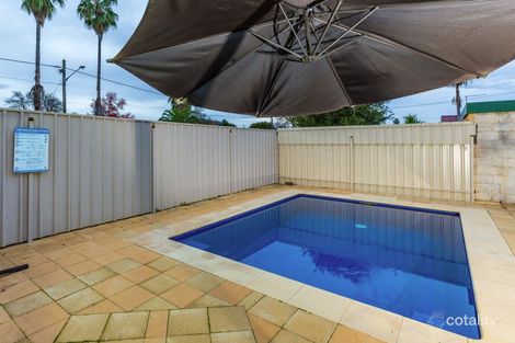 Property photo of 519 Schaefer Street Lavington NSW 2641