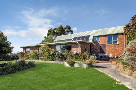 51 Old Mount Hicks Rd, Mount Hicks, TAS 7325