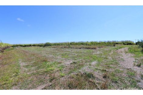 Property photo of 204 Seaview Road Qunaba QLD 4670