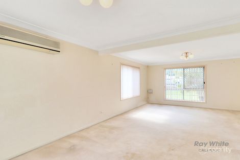 Property photo of 3 Gulubia Place Calamvale QLD 4116