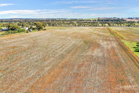 Property photo of 209 Blocks Road Riverton SA 5412