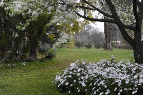 Property photo of 28 Satur Road Scone NSW 2337