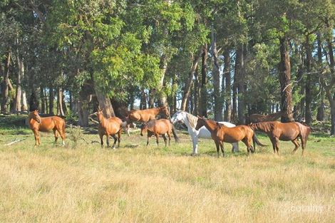 Property photo of 863 Ashbourne Road Ashbourne VIC 3442