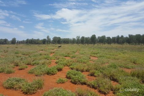 Property photo of 206 Albert Park Road Charleville QLD 4470