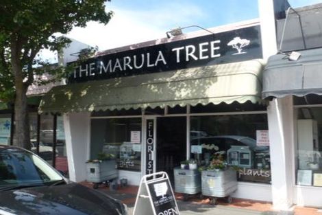 144a Springfield Rd, Blackburn, VIC 3130