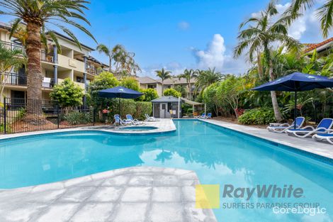 Property photo of 24/2342-2358 Gold Coast Highway Mermaid Beach QLD 4218