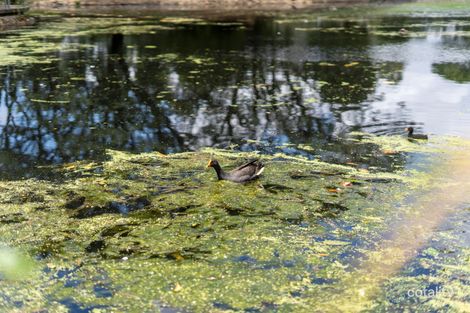 Property photo of 20 Elliott Street Caboolture QLD 4510