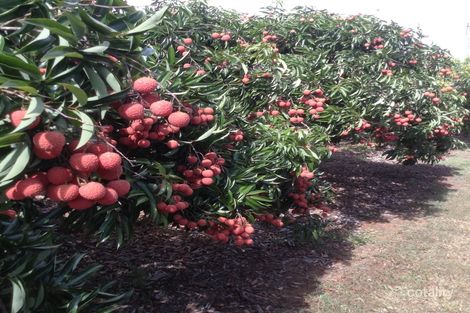 Property photo of 193 Cunningham Road Goomboorian QLD 4570