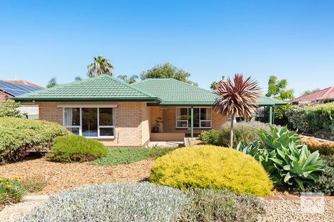 Property photo of 59 Suzanne Avenue Morphett Vale SA 5162