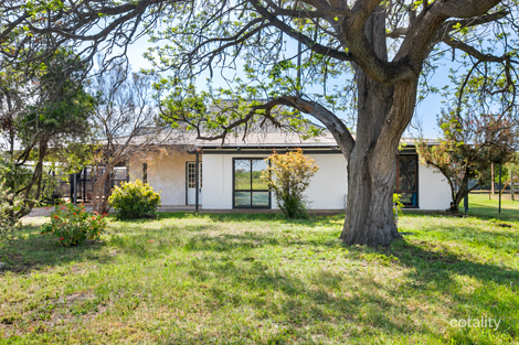 197 Culgoa St, Renmark North, SA 5341