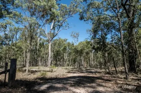 Property photo of 1904 Lowmead Road Colosseum QLD 4677