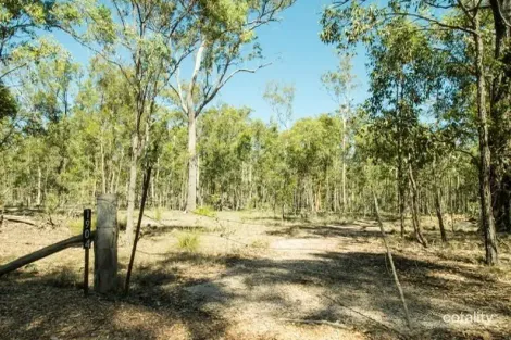 Property photo of 1904 Lowmead Road Colosseum QLD 4677