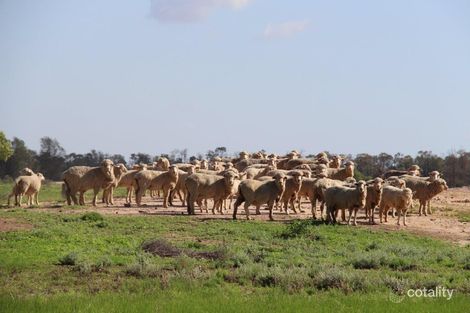 636 Yelarbon-Kurumbul Rd, Yelarbon, QLD 4388