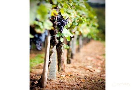 Property photo of 16 Lifford Street Bullsbrook WA 6084