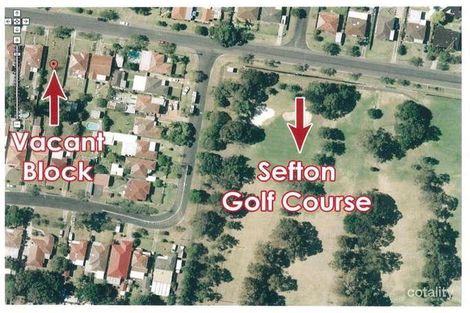 Property photo of 41 Palmer Street Sefton NSW 2162
