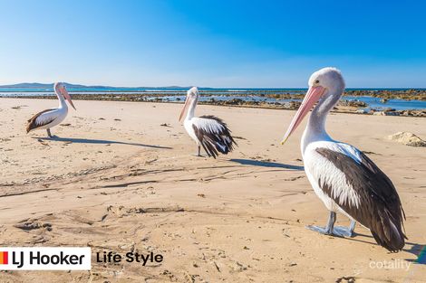 602 Sandon River Rd, Brooms Head, NSW 2463