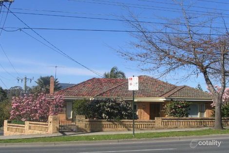 16 Elgar Rd, Burwood, VIC 3125