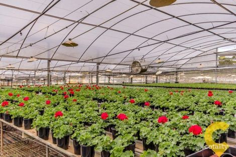 Property photo of 31 Haven Road Carbrook QLD 4130