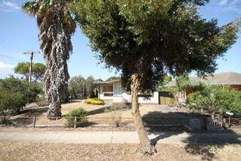 Property photo of 29 Wilkins Street Glengowrie SA 5044