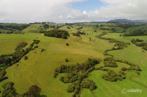 41 Bennetts Rd, Bielsdown Hills, NSW 2453