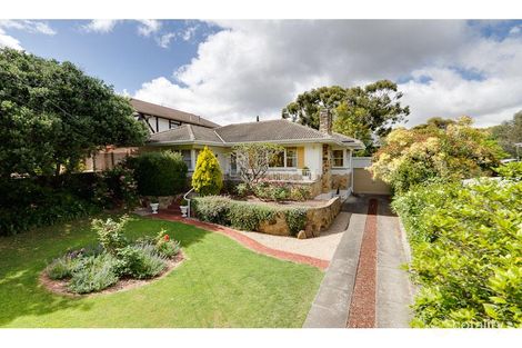 20 Norwich Ave, Burnside, SA 5066