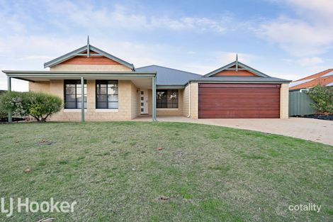 36 Wadhurst Rd, Butler, WA 6036
