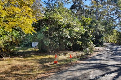 Property photo of 24 Canyon Parade Springbrook QLD 4213