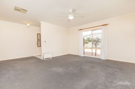Property photo of 930 Karadoc Avenue Irymple VIC 3498