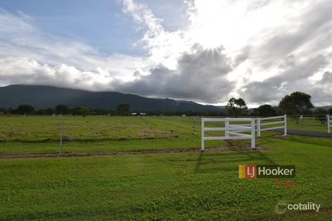 Property photo of 131 Old Tully Road Birkalla QLD 4854