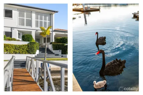 Property photo of 104 Sunbird Chase Parrearra QLD 4575