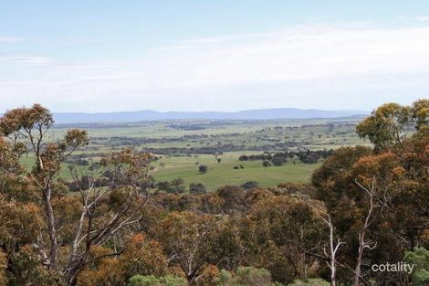 Property photo of 483 Old Gap Road Manton NSW 2582