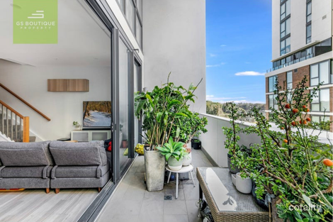 Property photo of 213/17 Chisholm Street Wolli Creek NSW 2205
