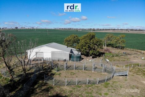 Property photo of 9421 Gwydir Highway Delungra NSW 2403