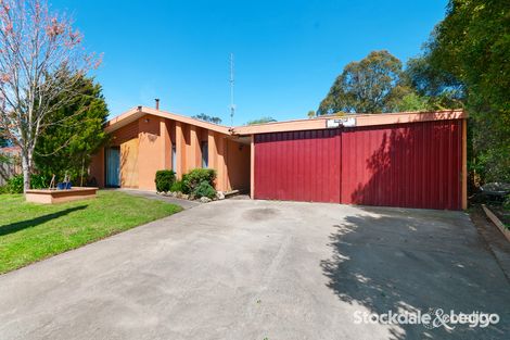 Property photo of 19 James Parade Traralgon VIC 3844