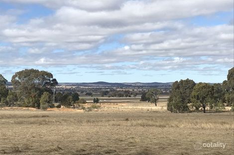 502 Patrick Rd, Dunedoo, NSW 2844
