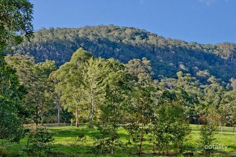 Property photo of 33 Masseys Creek Court Cedar Creek QLD 4520