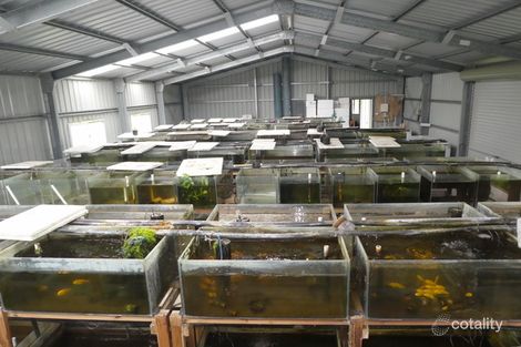 123 Bob Rd, Mourilyan Harbour, QLD 4858